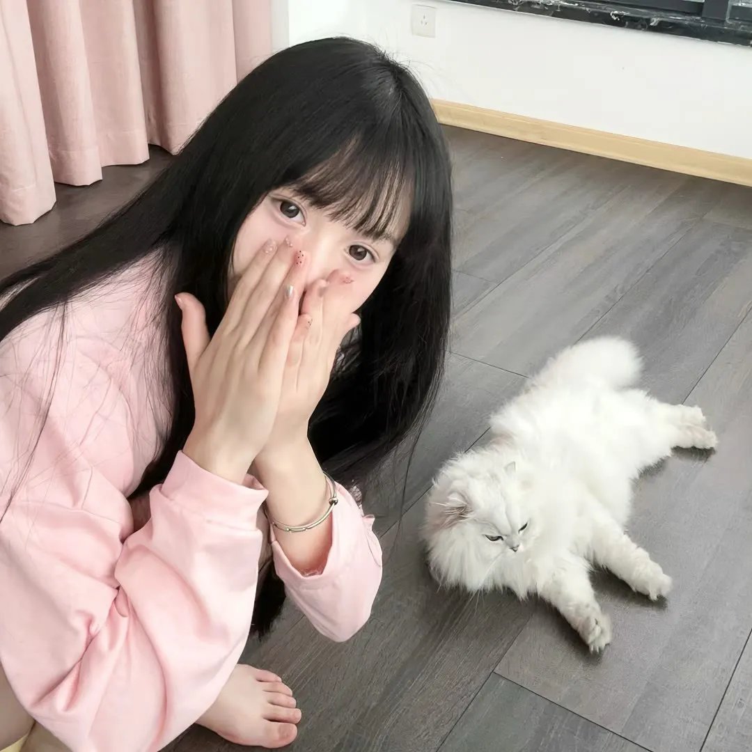 网