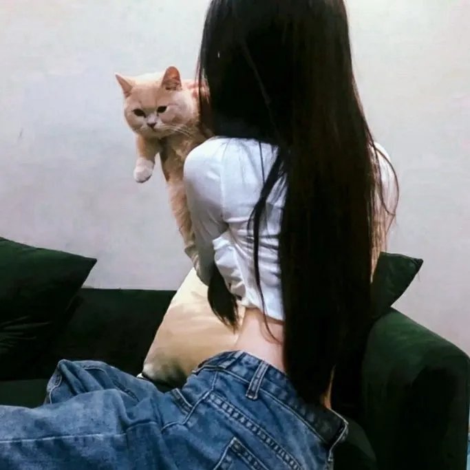 昏婚欲睡第二季